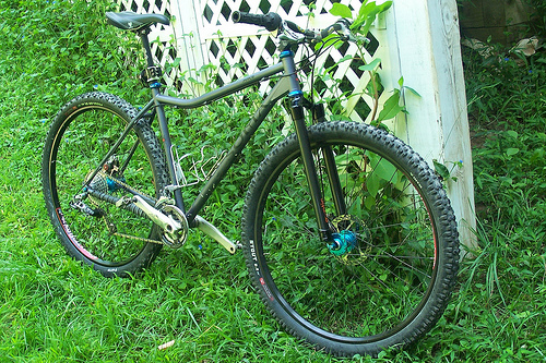 exotic rigid fork