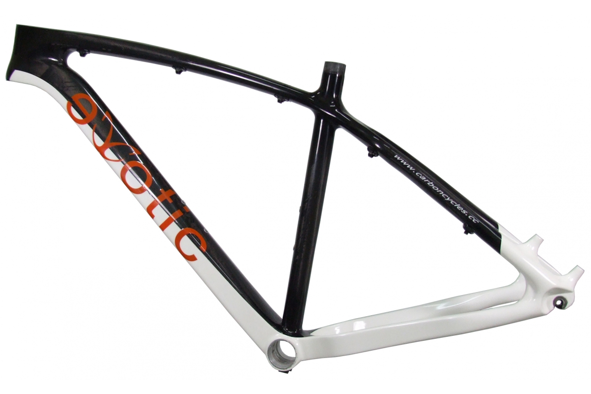 Exotic 29er Carbon Monocoque MTB Frame Award Winning Mountain Bike